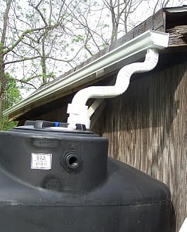 A rain barrel setup, with a white pipe extending from a gutter.