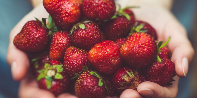 Hands outstretched, holding a palmful of strawberries.